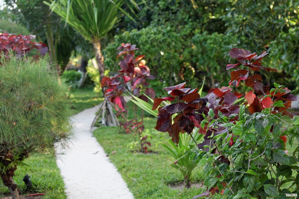 Analatsara Eco Lodge Ile aux Nattes Extérieur photo